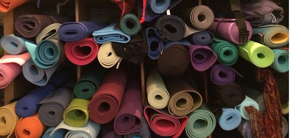 YogaTribes | Teacher Profile | Montréal