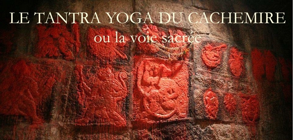YogaTribes | Enseignant de Yoga | Montreal-West
