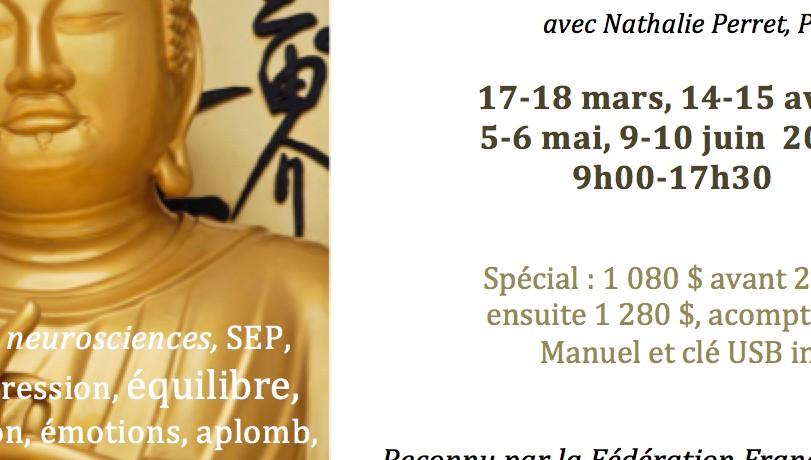 YogaTribes | Studio de Yoga | St-Bruno-de-Montarville