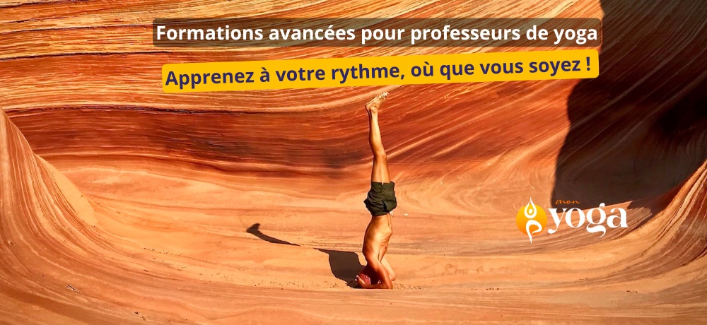 YogaTribes | Enseignant de Yoga | Montréal