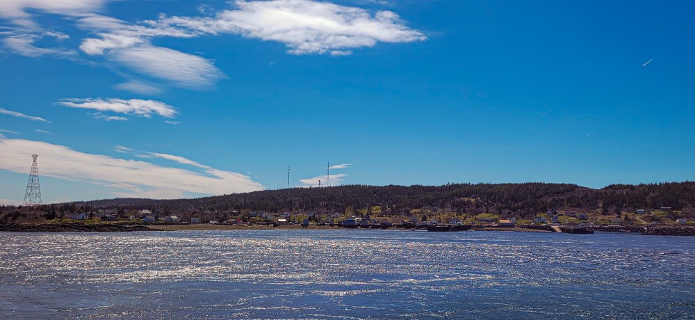 YogaTribes | Enseignant de Yoga | Halifax