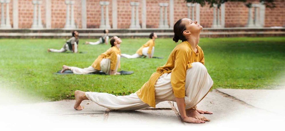 YogaTribes | Enseignant de Yoga | Montréal