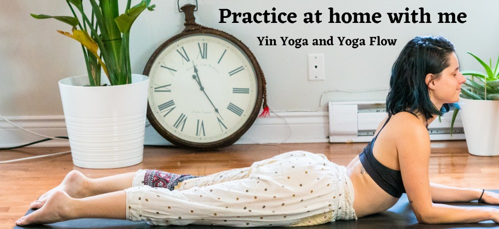 YogaTribes | Enseignant de Yoga | Montréal