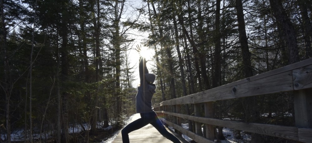 YogaTribes | Enseignant de Yoga | Montréal