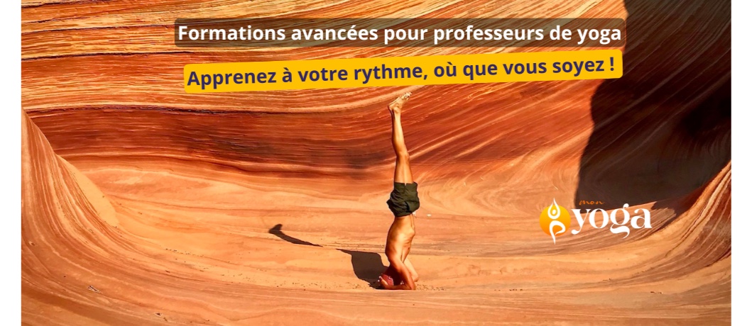 YogaTribes | Studio de Yoga | Montréal