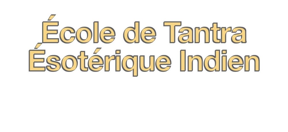 YogaTribes | Teacher Profile | Montréal