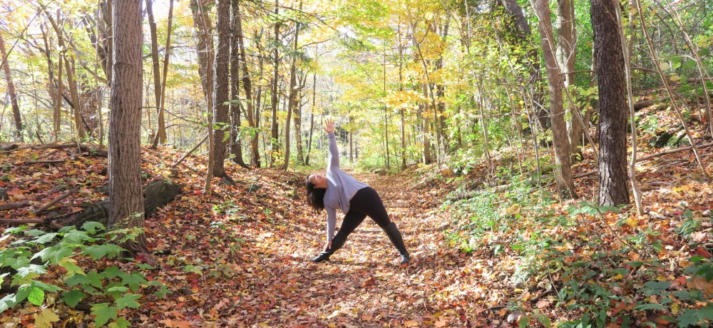 YogaTribes | Enseignant de Yoga | Montréal