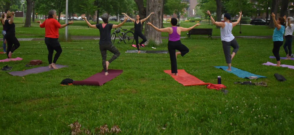 YogaTribes | Enseignant de Yoga | Montréal