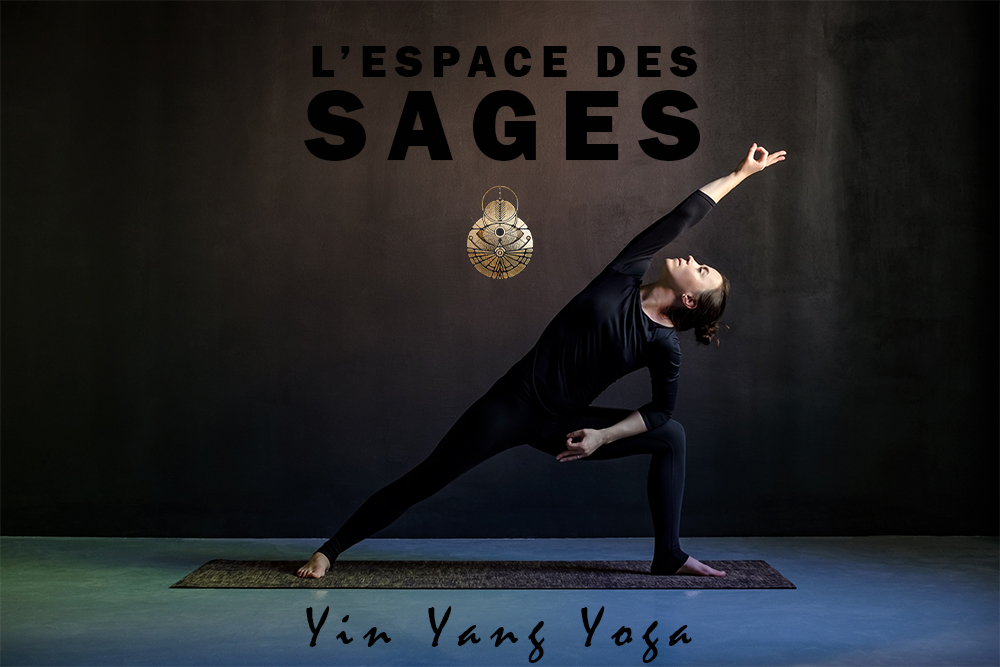 YogaTribes Class Yin Yang Yoga Montr Al   Yinyangyoga 2280 799 MjAyMy0wOC0xNSAxMjozNTo1Mg 